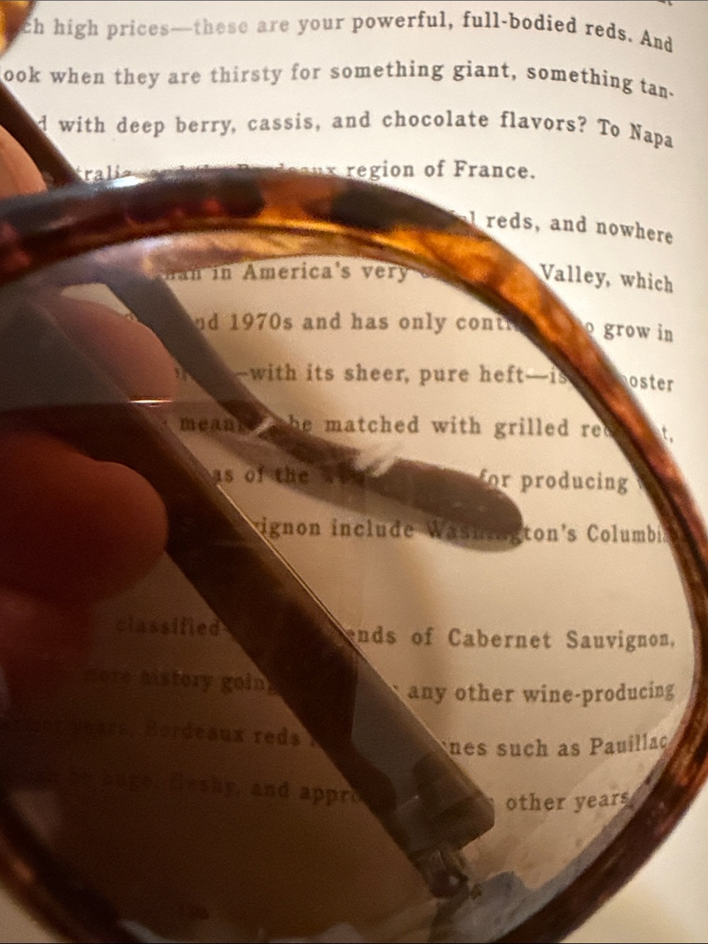 Marc Jacobs Tortoiseshell Brown Oversized Sunglasses - Picture 4 of 4